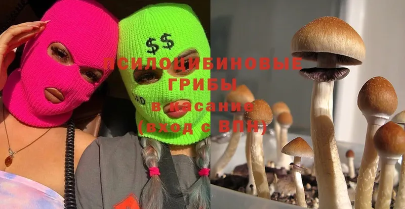 купить наркоту  Арск  Галлюциногенные грибы Magic Shrooms 